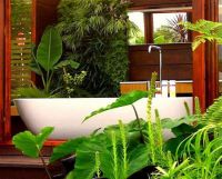 Интерьер ванной комнаты в тропическом стиле